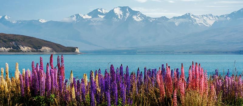 Lake Tekapo